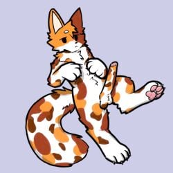 1:1 4_toes animal_humanoid anthro balls big_penis black_eyes black_nose bored brown_body brown_fur calico_cat cat_humanoid cheek_tuft claws collar domestic_cat facial_tuft feet felid felid_humanoid feline feline_humanoid felis floating fluffy fluffy_chest fluffy_tail foot_fetish foot_focus fur genitals hi_res humanoid kemono male mammal mammal_humanoid orange_body orange_fur pawpads paws penis pikazeen pikazeen_(fursona) pink_pawpads presenting presenting_penis robloxian simple_background solo solo_focus tail toes tuft white_body white_fur