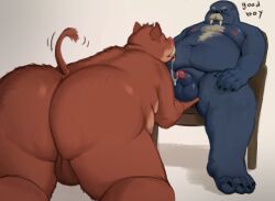 2024 all_fours anthro ass backsack balls belly big_belly brown_body duo erection furry genitals hi_res kemono male male/male mammal marine moobs nipples overweight overweight_male penis pinniped scottsktch sitting suid suina sus_(pig) walrus wild_boar