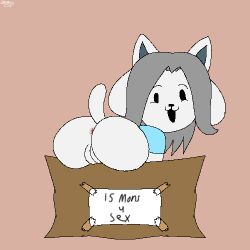 ass box canid canine container female flashing genitals hi_res mammal pussy solo spanky15 tem temmie_(undertale) undertale undertale_(series)