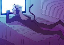 anthro bed bedroom domestic_cat electronics felid feline felis furniture hair hi_res long_hair male male_only mammal nude raleigh_knight solo t0l0k television