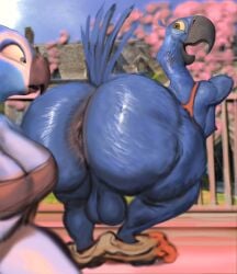anthro anus ass avian balls big_butt bird blu_(rio) blue_sky blue_sky_studios clothed clothing duo genitals hi_res hohohonse male mostly_nude nipples presenting presenting_anus presenting_hindquarters rio_(series) skimpy sky thick_thighs wide_hips