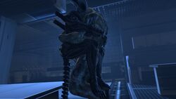 3d alien alien_(franchise) ass balls feet gay halo_(series) male male/male male_xenomorph nude penis sangheili sex source_filmmaker thekidxeno video_games xenomorph xeup36 yaoi