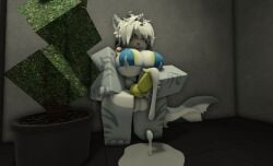 anthro bikini bikini_bottom bikini_top breasts cum cum_leaking furry futanari intersex kaiju_paradise lactating looking_at_penis masturbating ravenuwu roblox self_upload shark shork_(kaiju_paradise) yellow_nipples