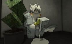 1boy 3d anthro balls bikini bikini_bottom cock cum cum_leaking femboy furry kaiju_paradise looking_at_penis male masturbating ravenuwu roblox roblox_game robloxian self_upload shark shork_(kaiju_paradise) tagme