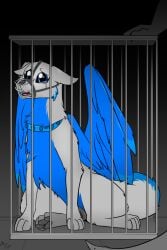 2019 ambiguous_gender animal_genitalia animal_pussy animal_vulva anthro back_wings black_nose blue_body blue_eyes bodily_fluids cage caged canid canine canine_genitalia canine_pussy canine_vulva canis cheek_tuft collar crying domestic_dog dragon duo eyebrows facial_tuft feathered_wings feathers female female_focus feral fluffy fluffy_tail fuf garret_mvahd_(oc) genitals hi_res mammal mostly_offscreen_character multicolored_body muzzle_(object) muzzled mythological_creature mythological_scalie mythology open_mouth pawpads pussy quadruped scalie sitting sitting_on_ground solo_focus tail tears teeth tongue tuft two_tone_body white_body wings