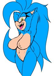 anthro long_hair sky_blue_hair skylar_blue sonic_(series) sonic_the_hedgehog_(series) yellow_eyes