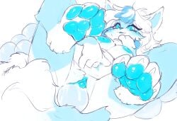 4_fingers 4_toes absurd_res anthro areola arm_markings bedroom_eyes big_areola blue_areola blue_body blue_eyes blue_fur blue_hair blue_inner_ear blue_markings blue_mouth blue_nipples blue_nose blue_pawpads blue_pussy bodily_fluids canid canine cheek_tuft chest_tuft claws cum digital_drawing_(artwork) digital_media_(artwork) eyelashes facial_tuft feet female fingers fluffy fluffy_ears fluffy_tail fur fur_markings genital_fluids genitals hair hi_res leg_markings looking_at_viewer mammal markings multicolored_body narrowed_eyes navel nipples open_mouth pawpads penetration presenting pussy seductive simple_background solo_focus starfeather tail thigh_markings toes tuft two_tone_body vaginal_fluids vaginal_penetration vaginal_penetration white_background white_body white_fur white_hair