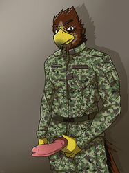 animal_genitalia animal_penis anthro arrwulf avian beak bird brown_feathers canine_penis clothed clothing erection eyebrows falcon feathers hi_res knot looking_at_viewer male male_only penis penis_through_fly poking_out red_eyes solo uniform vein veiny_penis