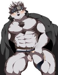 2017 666yubazi abs anthro areola balls barazoku belt biceps blush body_hair canine chest_hair clothing coat coat_cape flaccid front_view fur hair headband headgear hi_res horkeukamui kemono loincloth looking_at_viewer male male_only mammal manly muscular nipples pecs penis presenting presenting_penis pubes simple_background solo spread_legs spreading standing thick_thighs tokyo_afterschool_summoners uncut white_background wolf