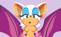 j_nsfw rouge_the_bat sonic_(series) sonic_the_hedgehog_(series) tagme