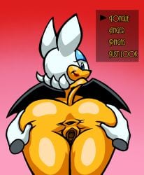 2025 anus arrow_(symbol) ass asshole assisted_spreading dat_ass decision dialogue options pov pussy rouge_the_bat sega sonic_(series) sonic_the_hedgehog_(series) spread_anus spread_pussy spreading unknown_character vagina