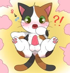 absurd_res animal asian_mythology domestic_cat east_asian_mythology felid feline felis feral genitals hi_res japanese_mythology leafeon0927 male mammal mythology nekomata penis rule_63 solo yokai