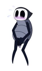 1boy alpha_channel anthro arthropod blush cover hollow_knight insects male mewnna_caythin penis quirrel simple_background sweat team_cherry transparent_background