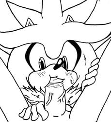 crisissilver gay oral penis silver_the_hedgehog sonic_(series) veiny_penis