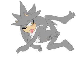 Sonic (Series) Rule 34 Image