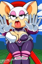 ahe_gao bat big_breasts breasts cloudz echidna female fondling hedgehog huge_breasts knuckles_the_echidna looking_pleasured male mammal monotreme rouge_the_bat rouge_the_bat_(heroes) sonic_(series) sonic_heroes superbunnygt