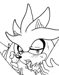 crisissilver gay oral penis silver_the_hedgehog sonic_(series) veiny_penis