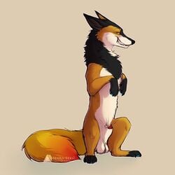 2017 alphaschakal anatomically_correct animal_genitalia animal_penis balls black_fur canine canine_penis digital_media_(artwork) feral fluffy fluffy_tail fur jackal looking_at_viewer male male_only mammal mane nude orange_fur paws penis penis_tip pose senka-bekic senka_bekic sheath smile smirk solo toes white_fur yellow_eyes