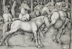 1534 animal_genitalia animal_penis anus ass balls cum cumshot ejaculation equine equine_penis female feral fine_art flared_penis forest grass greyscale group half-erect hans_baldung_grien hi_res hooves horse horsecock kick male mammal masturbation monochrome nude on_hind_legs open_mouth orgasm outside penis public_domain raised_tail rejection renaissance signature standing straight teeth traditional_media_(artwork) tree underhoof woodcut