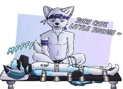 abs absurd_res accessory anthro arctic_fox balls bed bed_bondage biceps big_ears biped blindfold blue_body blue_eyes blue_fur bodily_fluids bondage bondage bondage_gear bondage_gloves bound cable canid canine clothing collar countershade_tail countershading crossed_legs cum dialogue digital_media_(artwork) dipstick_ears dominant dominant_male dripping duo ear_markings ear_piercing electricity electrostimulation erection feathers feet fennec_fox fingers fox fur furniture gag genital_fluids genitals hair handwear head_tuft headband headgear headwear hi_res inner_ear_fluff jewelry key key_necklace knot knotted_penis lightning_bolt lock lying male male/male mammal mocking monotone_body multicolored_ears muzzle_(object) muzzled necklace nipple_clamp nipple_fetish nipple_play nipples nude on_bed onomatopoeia open_mouth padlock padlocked_collar penis phrozt_(character) piercing pillow precum precum_drip questionable_consent restrained restrained_arms restrained_feet restrained_legs restrained_tail restraining_table restraints saliva saliva_drip saliva_on_face segufix simple_background sitting sitting_on_ground smile solo sound_effects straps submissive submissive_male symbol tail teeth teeth_showing text tongue tribal_outfit true_fox tuft white_body white_fur zee_(zfursee) zfursee