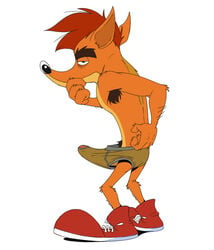 1boy anthro armpit_hair ass bandicoot big_penis black_eyes black_nose blank_background brown_armpit_hair brown_eyebrows brown_pubic_hair crash_(series) crash_bandicoot dark_circles erect erect_penis erection erection_under_clothes fur furry furry_only hairy hairy_arms itching large_penis looking_at_viewer male male_only mammal marsupial mudhound no_humans nude orange_fur penis penis_peek pubic_hair red_hair red_shoes scratching scratching_back scratching_self simple_background sneakers solo toony underwear video_games white_background