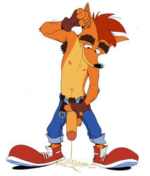 1boy 4_fingers anthro armpit_hair armpits bandicoot belt black_eyes black_nose blank_background blue_shorts brown_armpit_hair brown_eyebrows brown_fingerless_gloves brown_gloves brown_pubic_hair crash_(series) crash_bandicoot crash_bandicoot_(series) erection fingerless_gloves foreskin fur furry furry_only glans gloves hairy hairy_armpits hairy_arms humanoid_penis large_penis male male_focus male_only mammal marsupial mudhound nipples orange_fur pee peeing penis pink_nipples piss pissing pubic_hair red_hair red_shoes red_sneakers retracted_foreskin shoes shorts simple_background sneakers solo solo_male tan_fur tenderule34 toony uncut urine video_games white_background