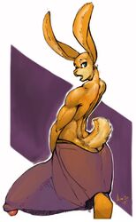 anthro aroso ass big_penis blue_eyes bulge covering digital_media_(artwork) fur half-erect huge_cock hyper hyper_penis lagomorph looking_back male male_only mammal nude penis penis_outline poking_out rabbit solo standing towel yellow_fur