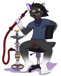 2015 4_fingers 4_toes anthro balls black_fur canine clothed clothing coyote erection fur granite hair hookah looking_at_viewer male male_only mammal open_mouth penis piercing purple_fur simple_background sitting smile smoke smoking solo teeth toes tongue white_fur zawmg