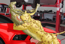 animal_genitalia animal_penis anthro balls blush car cunnilingus drooling duo equine_penis erection female giraffe horsecock internal kobold larger_male male mammal muscular muscular_male nude oral penis saliva saruuk sex size_difference spread_legs spreading straight tongue tongue_out vaginal_penetration vehicle