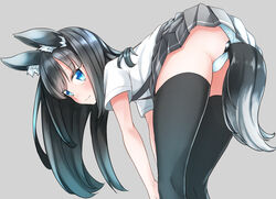 1girls anal anal_beads anal_beads_tail anal_object_insertion animal_ears asashio_(kantai_collection) ass bent_over black_legwear blue_eyes blue_panties blush buttplug buttplug_tail closed_mouth comah commentary_request fake_tail female female_focus female_only fox_ears from_side grey_background grey_skirt hands_on_own_knees kantai_collection kemonomimi_mode long_hair looking_at_viewer looking_to_the_side object_insertion panties panties_aside pantyshot pantyshot_(standing) pleated_skirt shirt short_sleeves simple_background skirt solo solo_female solo_focus standing suspender_skirt suspenders tail thighhighs underwear upskirt white_shirt