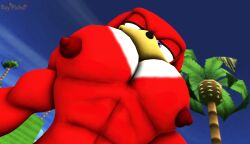 1boy commission commissioner_upload conpletely_nude_male dr.ivopingasnik gay gay_male knuckles_the_echidna male male_focus male_only pec_pov_meme pecs pectorals pov sfm solo sonic_(series) sonic_the_hedgehog_(series) source_filmmaker