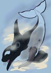 animal_genitalia animal_penis anus bodily_fluids cetacean cetacean_genitalia cetacean_penis closed_eyes cum cumshot dolphin eclipse_(orca621) ejaculation erection excessive_cum excessive_genital_fluids feral gaping gaping_anus genital_fluids genitals glass hi_res killerwhale looking_pleasured male mammal marine oceanic_dolphin orca penis presenting_hindquaters solo tapering_penis toothed_whale underwater water whale wyrmling_(artist)