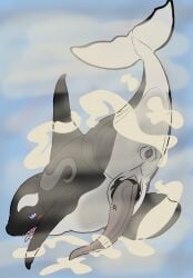animal_genitalia animal_penis anus bodily_fluids cetacean cetacean_genitalia cetacean_penis cum cum_everywhere cumshot dolphin eclipse_(orca621) ejaculation erection excessive_cum excessive_genital_fluids feral gaping gaping_anus genital_fluids genitals glass hi_res looking_pleasured male mammal marine messy oceanic_dolphin orca penis presenting_hindquaters solo tapering_penis tongue tongue_out toothed_whale underwater water whale wyrmling_(artist)