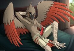 accipitrid accipitriform animal_genitalia anthro avian balls beak bed bedding bent_leg bird blue_eyes brown_body brown_feathers buteo chickenhawk claws eyewear feathers feet finger_claws furniture genitals glasses hawkward hi_res kazrune leaning leaning_forward looking_at_viewer lying male nude open_mouth open_wings penis pillow plant presenting presenting_penis red-tailed_hawk red_wings sheath solo tail tail_feathers talons toes tongue tree wings