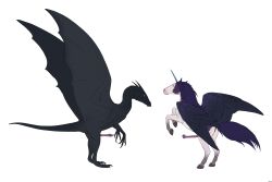 3:2 absurd_res alicorn animal_genitalia animal_penis anus black_body black_horn black_wings blue_horn dragon duo equid equine equine_genitalia equine_penis erection feathered_wings feathers feral frilled_penis genitals hi_res horn horn_crest male mammal membrane_(anatomy) membranous_wings multicolored_body multicolored_skin mythological_creature mythological_equine mythological_scalie mythology penis pink_penis purple_body purple_penis purple_wings scalie side_view simple_background spread_wings two_tone_body two_tone_skin unicorn white_background wings zw3