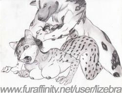 1boy 1girls 2011 african_wild_dog all_fours anthro breasts canine chest_tuft duo feline female from_behind_position furry hair interspecies lizebra looking_at_viewer male mammal monochrome nipples nude pulling_hair serval sex sketch spots straight text tongue tuft url watermark