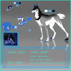1:1 absurd_res animal_genitalia black_body black_fur blue_border blue_claws blue_eyes blue_nose blue_pawpads border canid canine canis cheek_tuft chest_tuft claws english_text facial_tuft feral fully_sheathed fur genitals gradient_background grey_body grey_fur grey_tail hi_res male mammal model_sheet mouth_closed msdeadsoul neck_tuft open_mouth pawpads sheath side_view simple_background solo tail text tuft white_body white_fur white_sheath white_tail wolf