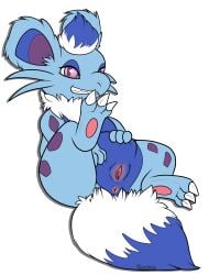 3_toes absurd_res amber_(bws) claws feet female feral game_freak generation_1_pokemon generation_5_pokemon hi_res hybrid itsdraconix looking_at_viewer neck_tuft nidoran nidoran♀ nintendo pokemon pokemon_(species) showing_teeth smug smug_face solo spread_legs spreading tail tail_tuft toes tuft zorua