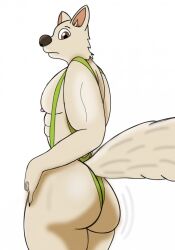 ass ass_focus ass_shake bara big_tail bubble_ass bubble_butt buff butt_focus butt_shake furry furry_tail green_mankini lime_mankini male mankini mankini_ass_view sexy shaking shaking_ass shaking_butt tail wolf wolf_tail
