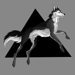 1:1 absurd_res animal_genitalia balls black_body black_fur black_nose black_sclera blue_eyes canid canine cheek_tuft facial_tuft feral fully_sheathed fur genitals grey_body grey_fur hi_res male mammal mouth_closed msdeadsoul multicolored_body multicolored_fur neck_tuft sheath side_view signature simple_background solo tuft white_balls white_body white_fur white_sheath