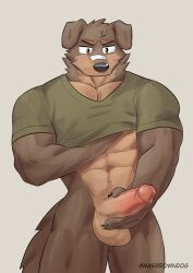 abs anthro balls biceps bodily_fluids bottomless brown_body brown_fur canid canine canis clothed clothing domestic_dog erection fur genital_fluids genitals hi_res humanoid_hands male male_only mammal masbrowndog masturbation muscular muscular_anthro muscular_male pecs penis precum shirt shirt_only simple_background solo t-shirt t-shirt_only tail topwear topwear_only