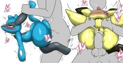 2boys anon ass cum cum_in_pussy enigi09 female female_focus from_behind high_resolution nintendo penis pichu pokémon_(species) pokemon pussy riolu sex very_high_resolution white_background