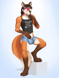 animal_genitalia anthro balls blush canine clothing dream_and_nightmare fox male male_only mammal pecs penis sheath shirt shorts smile solo tank_top