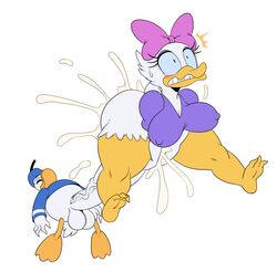 2017 anthro avian balls beak big_breasts bird bottomless breasts clenched_teeth clothed clothing cum daisy_duck disney donald_duck duck duo female hi_res humor hyper hyper_penis male meme nipple_bulge penis simple_background soft_feathers sssonic2 straight teeth thick_thighs what white_background wide_hips