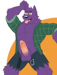 2017 abs anthro belt bernard_(ok_k.o.!_lbh) biceps big_muscles boner canine cartoon_network chest_tuft clothed clothing erection fur greydaboy hi_res male male_only mammal muscular ok_k.o.!_let's_be_heroes open_shirt pecs penis precum purple_fur shirt solo tuft vein veiny_penis were werewolf wolf