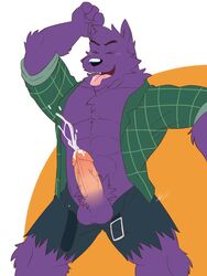 2017 abs anthro belt bernard_(ok_k.o.!_lbh) biceps big_muscles boner canine cartoon_network chest_tuft closed_eyes clothed clothing cum cumshot ejaculation erection fur greydaboy hands-free hi_res male male_only mammal muscular ok_k.o.!_let's_be_heroes open_shirt orgasm pecs penis purple_fur shirt solo tongue tuft vein veiny_penis were werewolf wolf