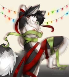 1futa anthro black_hair black_nose breasts canine fur furry futa_only futanari grey_fur husky intersex mammal nipples nitricacid nude ribbons simple_background smile solo testicles white_background white_fur