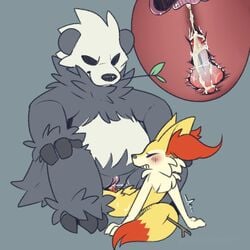 animal_genitalia animal_penis anthro bear big_dom_small_sub braixen canine canine_penis cum cum_in_pussy cum_inside female hi_res interspecies knot knotting larger_female male mammal nintendo pangoro penetration penis pokémon_(species) pokemon pokemon_(species) sex size_difference smaller_male straight vaginal_penetration vandalistpikachu video_games