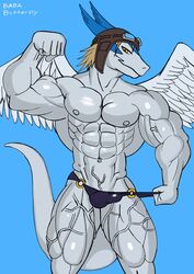 2017 abs absurd_res anthro bada-butterfly balls biceps big_muscles biped bondage clothed clothing dragon erection gay hair hi_res huge_muscles hyper legendz looking_at_viewer male muscular muscular_male nipples pecs pose scalie shiron simple_background smile solo speedo standing swimsuit triceps vein veiny_muscles video_games