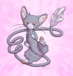 2017 4_toes :3 absurd_res blue_eyes blush digital_media_(artwork) emyara feline female feral fur furry furry_only glameow grey_fur heart hi_res inner_ear_fluff long_tail looking_at_viewer lying mammal nintendo on_back pawpads paws pink_background pokémon_(species) pokemon presenting presenting_pussy pussy rymherdier signature simple_background smile solo spread_legs spreading tail tail_tuft toes tuft video_games whiskers yellow_sclera